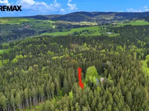 Prodej chalupy, Rokytnice v Orlických horách, 37 m2