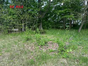 Prodej rodinného domu, Čistá, 300 m2