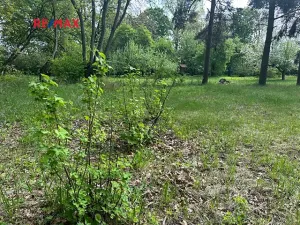 Prodej rodinného domu, Čistá, 300 m2