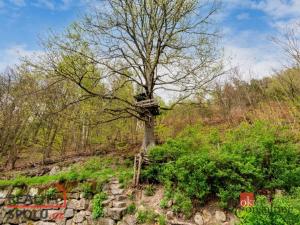 Prodej rodinného domu, Prysk - Dolní Prysk, 137 m2