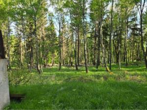 Prodej chalupy, Boleboř, 64 m2