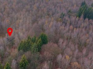 Prodej chalupy, Boleboř, 64 m2