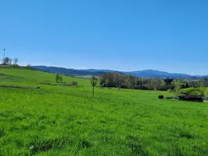 Prodej louky, Kájov - Kladné, 3266 m2