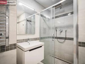 Prodej bytu 1+kk, Praha - Radlice, Lučištníků, 53 m2