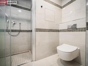 Prodej bytu 1+kk, Praha - Radlice, Lučištníků, 53 m2
