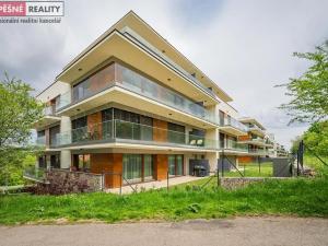 Prodej bytu 1+kk, Praha - Radlice, Lučištníků, 53 m2