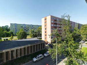 Pronájem bytu 2+1, Ostrava, Krylovova, 53 m2