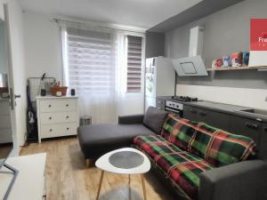 Pronájem bytu 1+1, Teplice - Trnovany, J. Á. Komenského, 40 m2