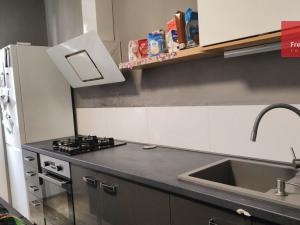 Pronájem bytu 1+1, Teplice - Trnovany, J. Á. Komenského, 40 m2