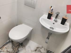 Pronájem bytu 1+1, Teplice - Trnovany, J. Á. Komenského, 40 m2