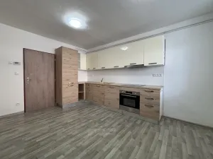 Pronájem bytu 1+1, České Budějovice - České Budějovice 4, Dobrovodská, 41 m2