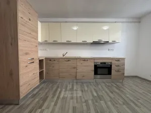 Pronájem bytu 1+1, České Budějovice - České Budějovice 4, Dobrovodská, 41 m2