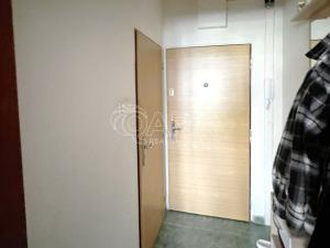 Pronájem bytu 2+kk, České Budějovice - České Budějovice 2, J. Opletala, 40 m2