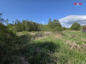 Prodej pozemku pro bydlení, Františkovy Lázně - Žírovice, 1000 m2