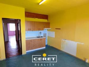 Prodej bytu 1+1, Žatec, Havlíčkovo náměstí, 39 m2