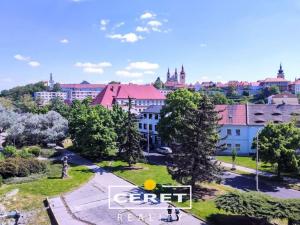 Prodej bytu 1+1, Žatec, Havlíčkovo náměstí, 39 m2
