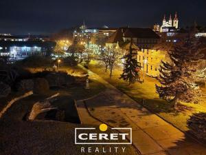 Prodej bytu 1+1, Žatec, Havlíčkovo náměstí, 39 m2