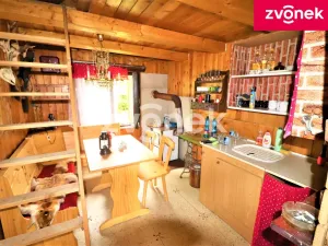 Prodej louky, Brumov-Bylnice - Brumov, 497 m2