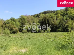 Prodej louky, Brumov-Bylnice - Brumov, 497 m2