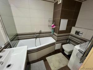 Pronájem bytu 2+1, Frýdek-Místek - Místek, J. Opletala, 58 m2