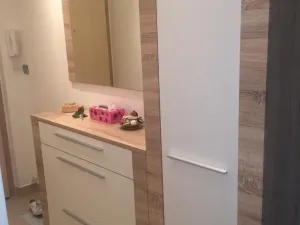 Pronájem bytu 2+1, Frýdek-Místek - Místek, J. Opletala, 58 m2