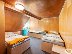 Prodej ubytování, Olešnice v Orlických horách, 1400 m2