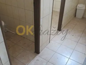 Dražba komerční nemovitosti, Česká Třebová, 402 m2