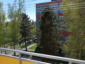 Pronájem bytu 3+1, Zábřeh, Severovýchod, 71 m2