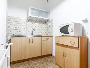 Pronájem bytu 1+1, Olomouc, Jungmannova, 37 m2