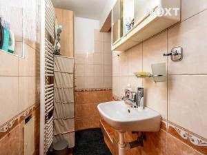 Prodej chalupy, Horní Brusnice, 120 m2