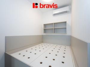 Pronájem bytu 1+kk, Brno - Trnitá, Placzkova, 29 m2