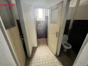 Pronájem výrobních prostor, Pelhřimov, Hodějovická, 206 m2