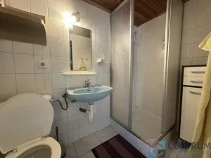 Prodej rodinného domu, Desná - Desná I, Spojovací, 360 m2