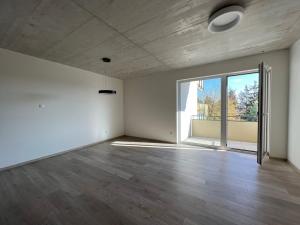 Pronájem bytu 1+kk, České Budějovice, O. Nedbala, 39 m2