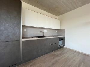 Pronájem bytu 1+kk, České Budějovice, O. Nedbala, 39 m2