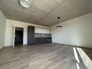 Pronájem bytu 1+kk, České Budějovice, O. Nedbala, 39 m2