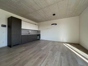 Pronájem bytu 1+kk, České Budějovice, O. Nedbala, 39 m2