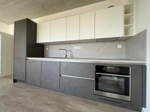 Pronájem bytu 1+kk, České Budějovice, O. Nedbala, 39 m2
