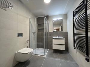Pronájem bytu 1+kk, České Budějovice, O. Nedbala, 39 m2