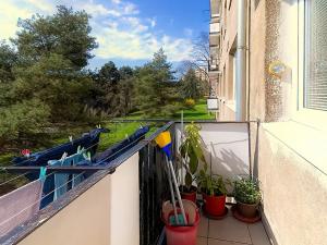Prodej bytu 3+1, Praha - Žižkov, Pod lipami, 69 m2