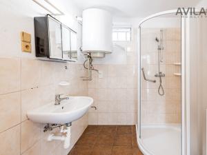 Prodej rodinného domu, Opolany - Opolánky, 97 m2