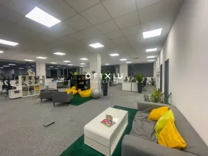 Pronájem kanceláře, Brno, Vídeňská, 300 m2