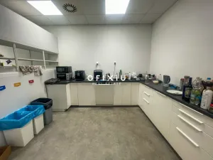 Pronájem kanceláře, Brno, Vídeňská, 300 m2