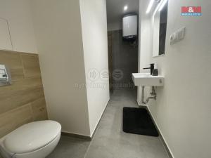 Pronájem bytu 2+kk, Praha, U družstva Ideál, 52 m2