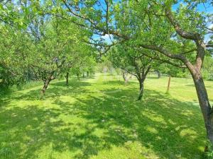 Prodej rodinného domu, Rokytnice, 80 m2