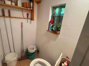 Prodej zahrady, Koštice, 406 m2