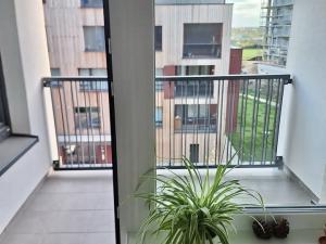 Pronájem bytu 1+kk, Praha - Troja, Hnězdenská, 34 m2