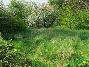 Prodej rodinného domu, Lobodice, 98 m2