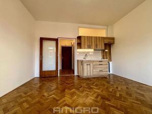 Pronájem bytu 1+kk, Brno, Kotlářská, 26 m2