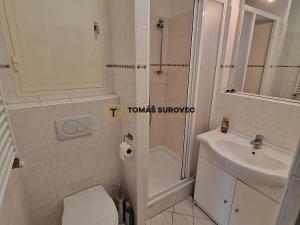 Pronájem bytu 1+kk, Zlín, Březnická, 38 m2